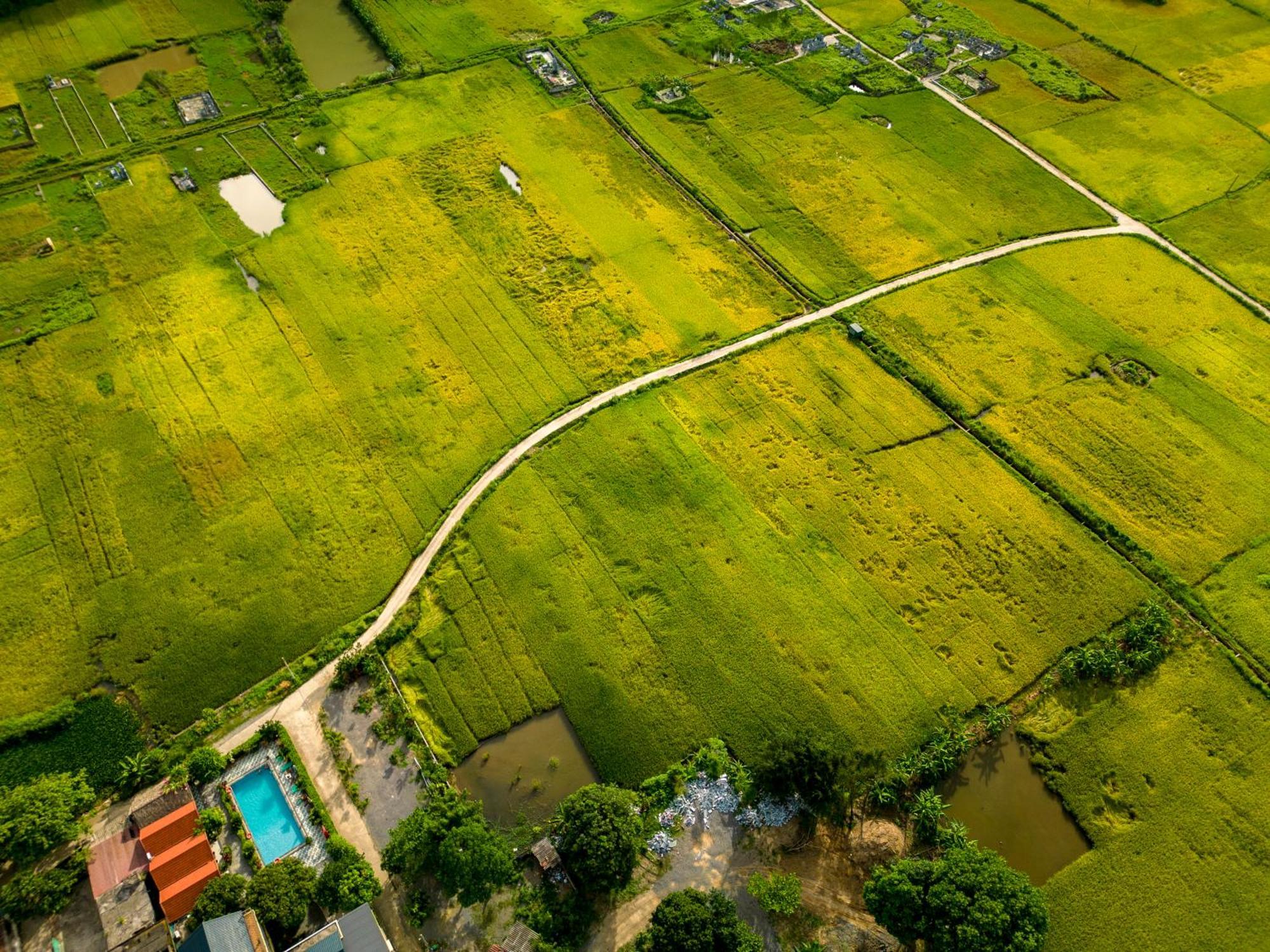 Tam Coc Minh Hung Homestay Нин Бин Екстериор снимка